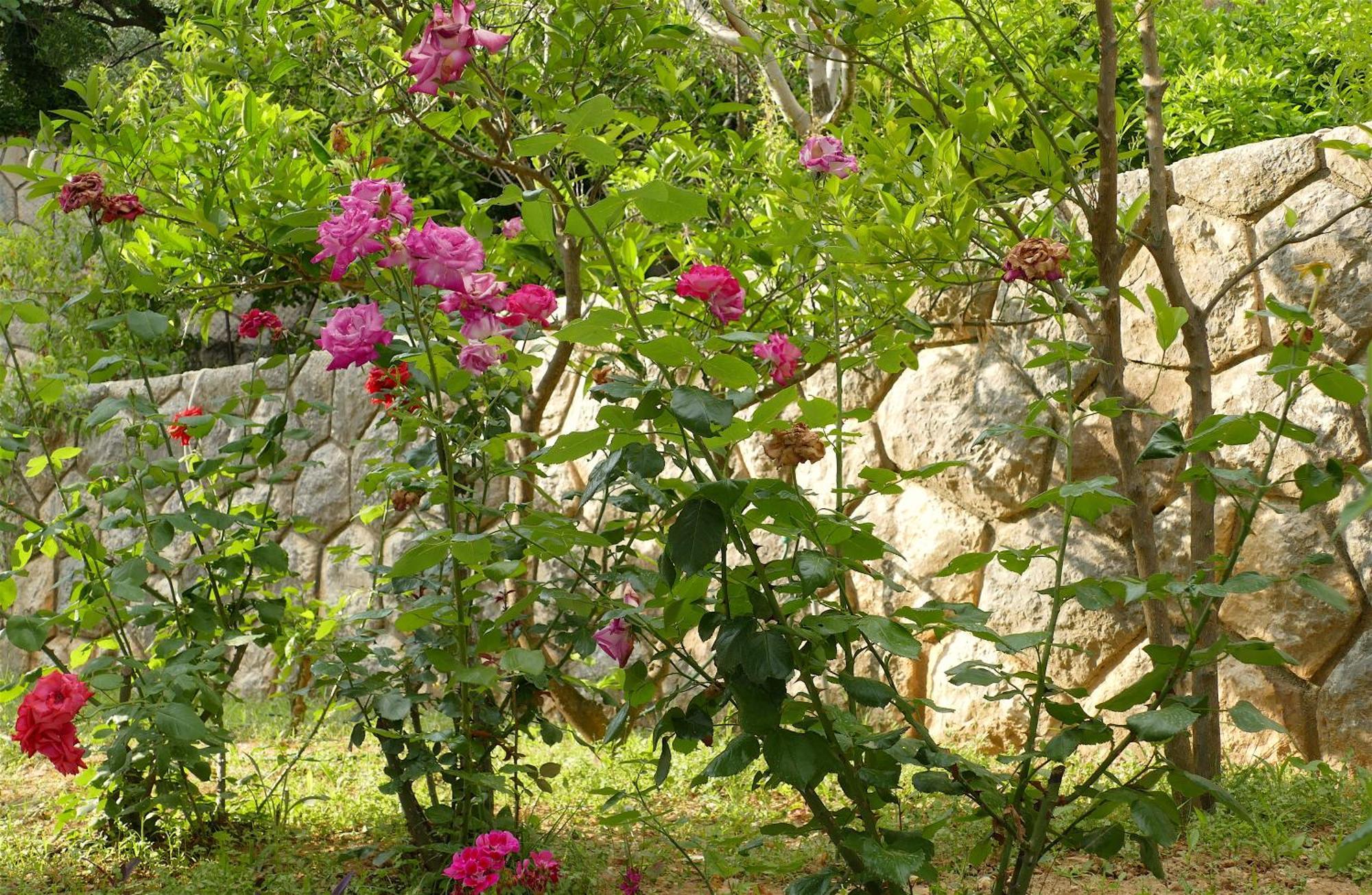 B&B Garni Toni Supetarska Draga Pokoj fotografie